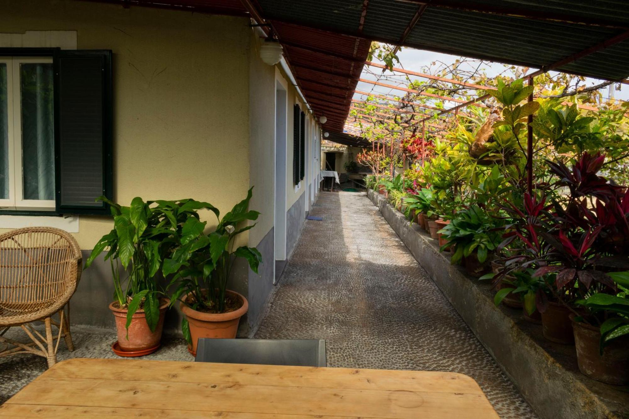 Casa Do Boto Villa Santa Cruz  Kültér fotó